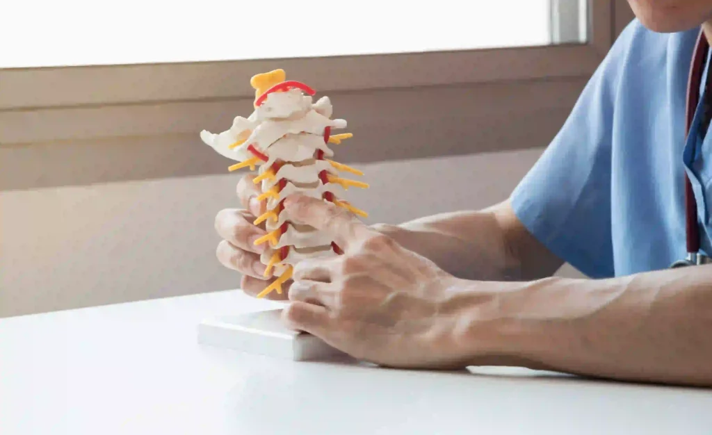 Doctor explaining spine anatomy to patient during chronic pain consultation.